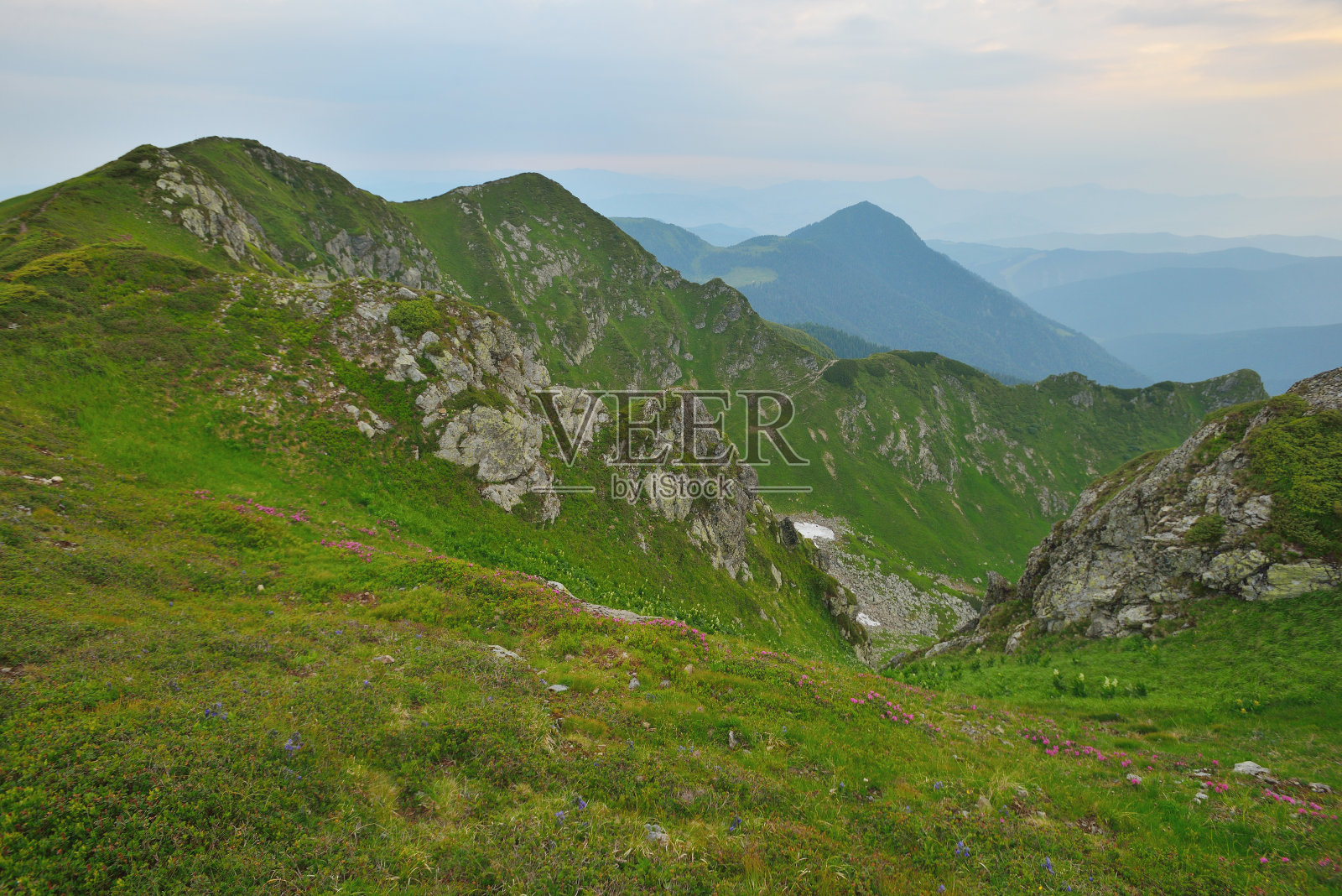 欧洲美丽的夏季山脉，马拉穆瑞斯，乌克兰照片摄影图片