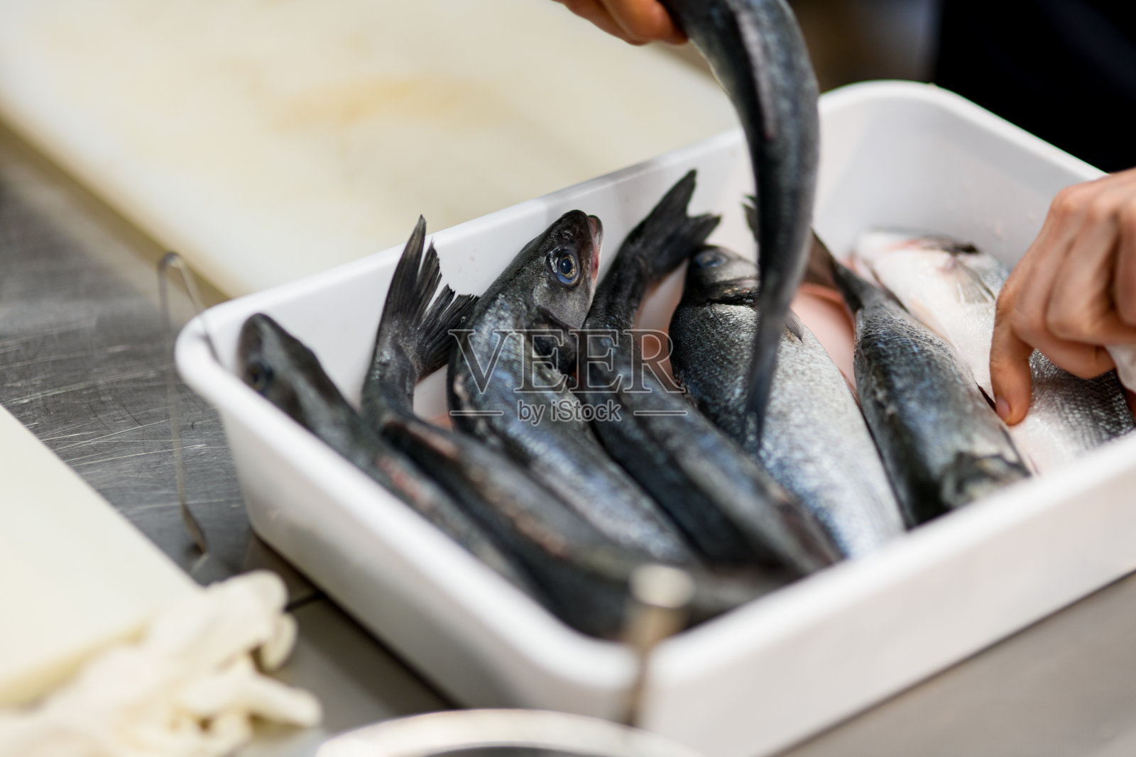 几条鱼在白盒子里排成一排的特写照片摄影图片