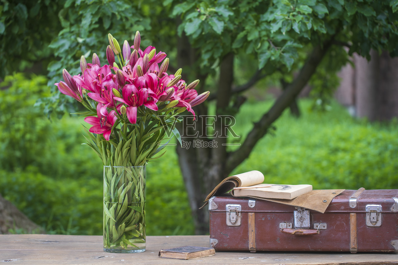 美丽的红色百合花在一个玻璃花瓶，水和旧手提箱，书在一个木桌子上，在花园里，靠近照片摄影图片