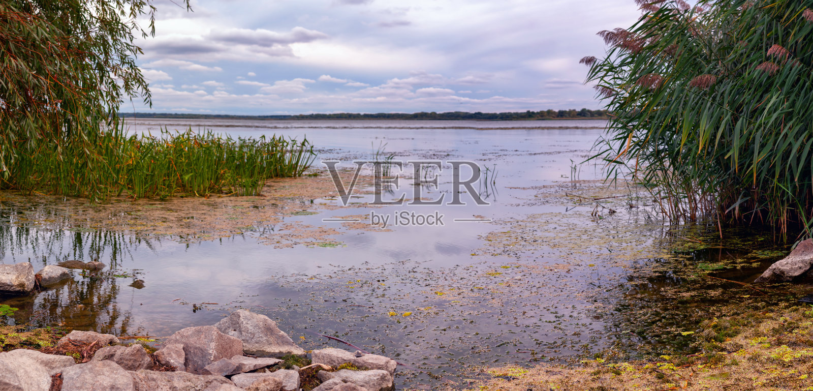 tiza湖景观匈牙利照片摄影图片