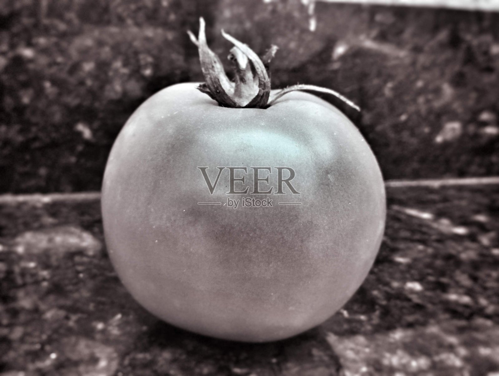 番茄照片摄影图片