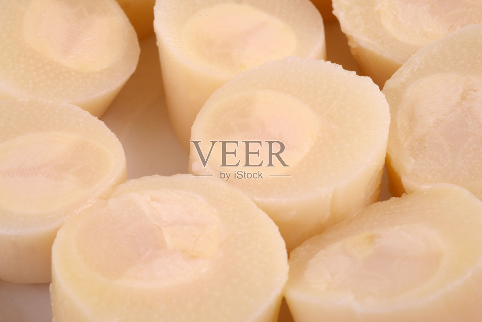 棕榈心环照片摄影图片