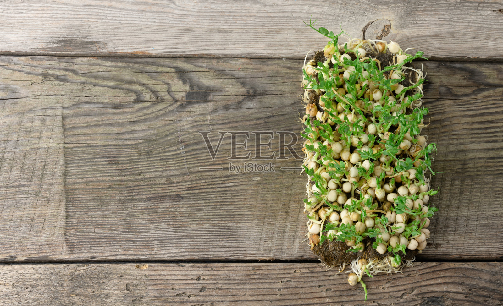 灰色的木桌上放着绿豌豆芽，健康美味的食物，排毒，复印空间照片摄影图片