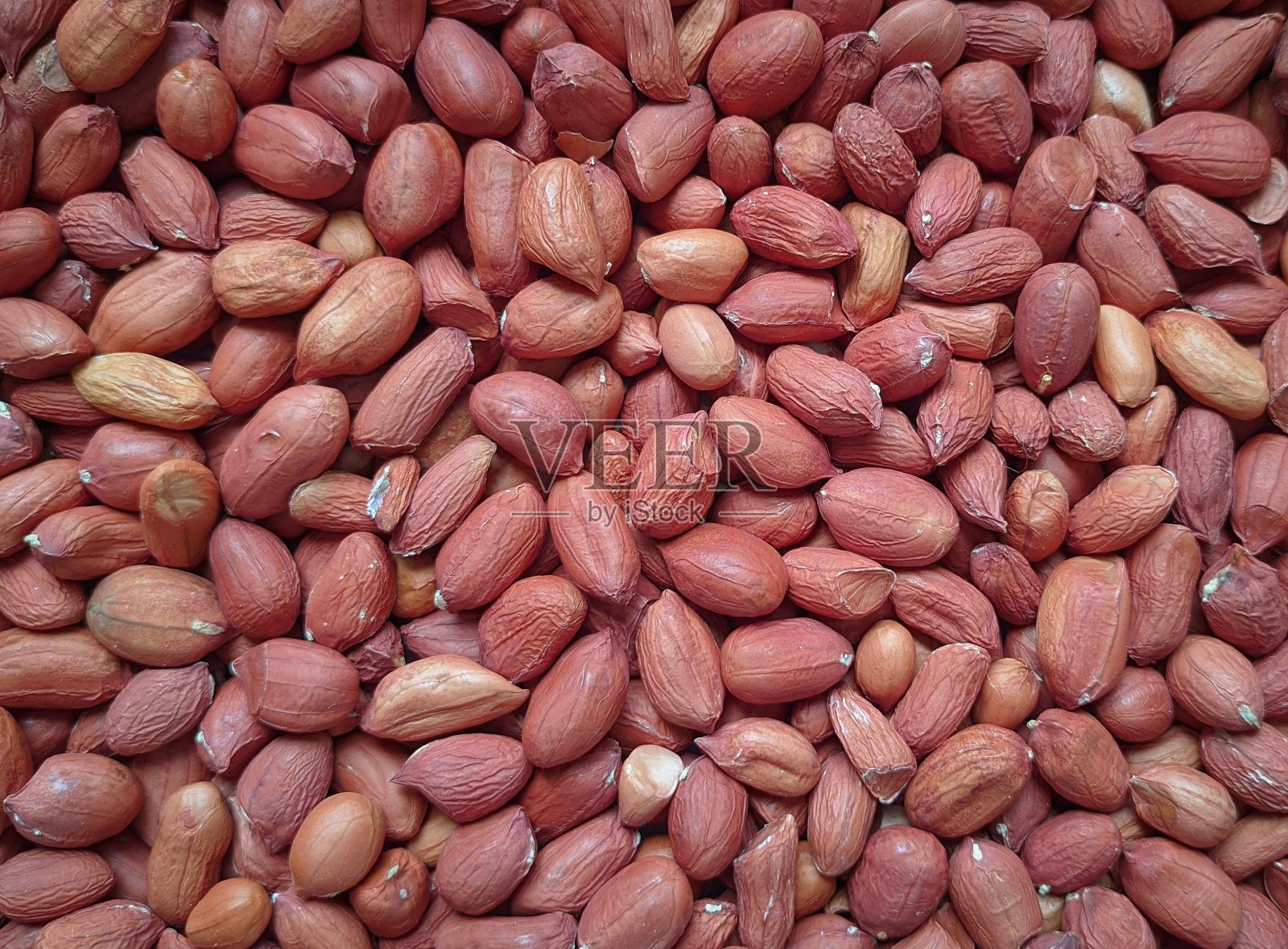 花生、花生照片摄影图片