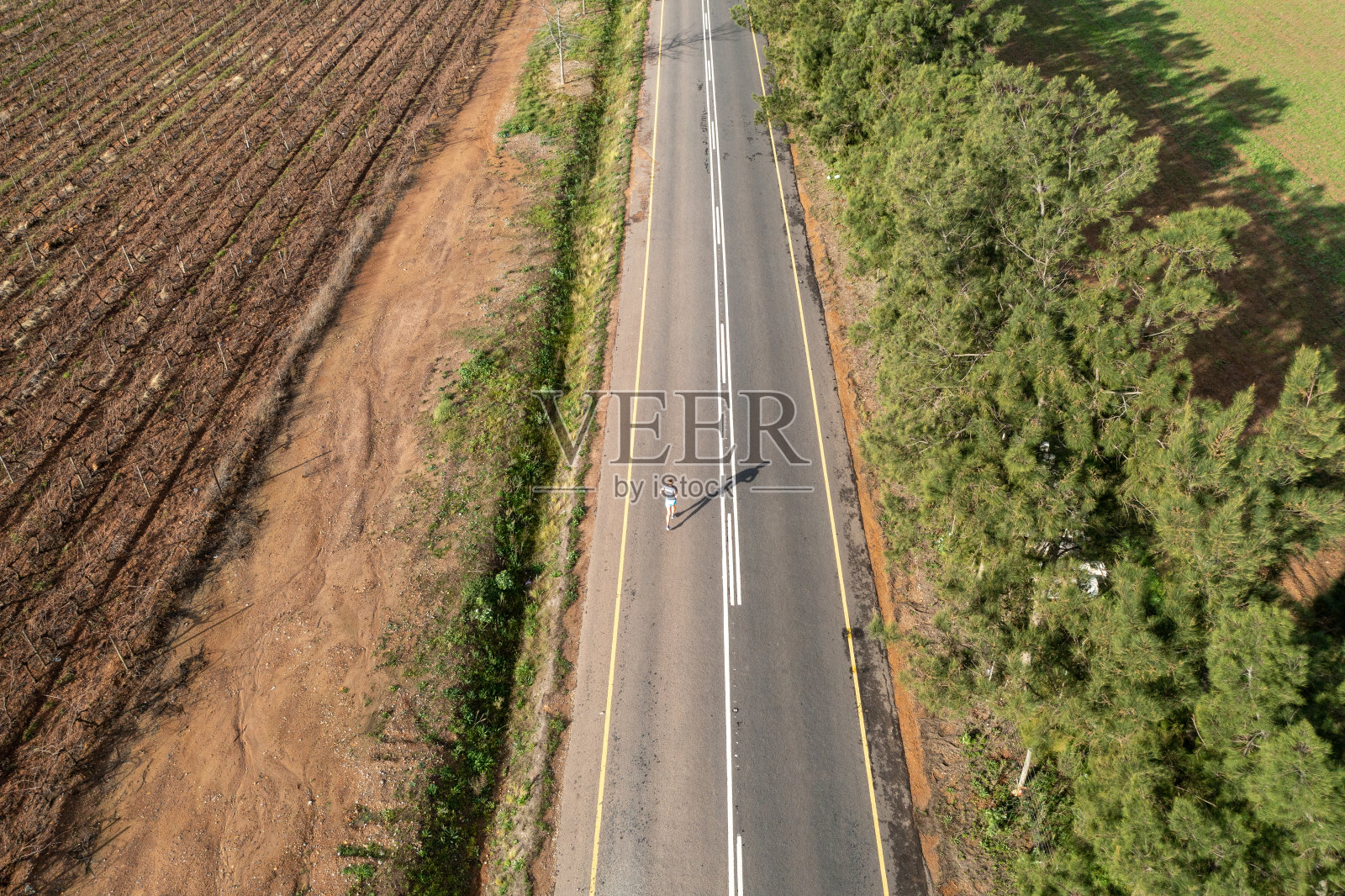 在柏油路上跑步的健康女运动员照片摄影图片