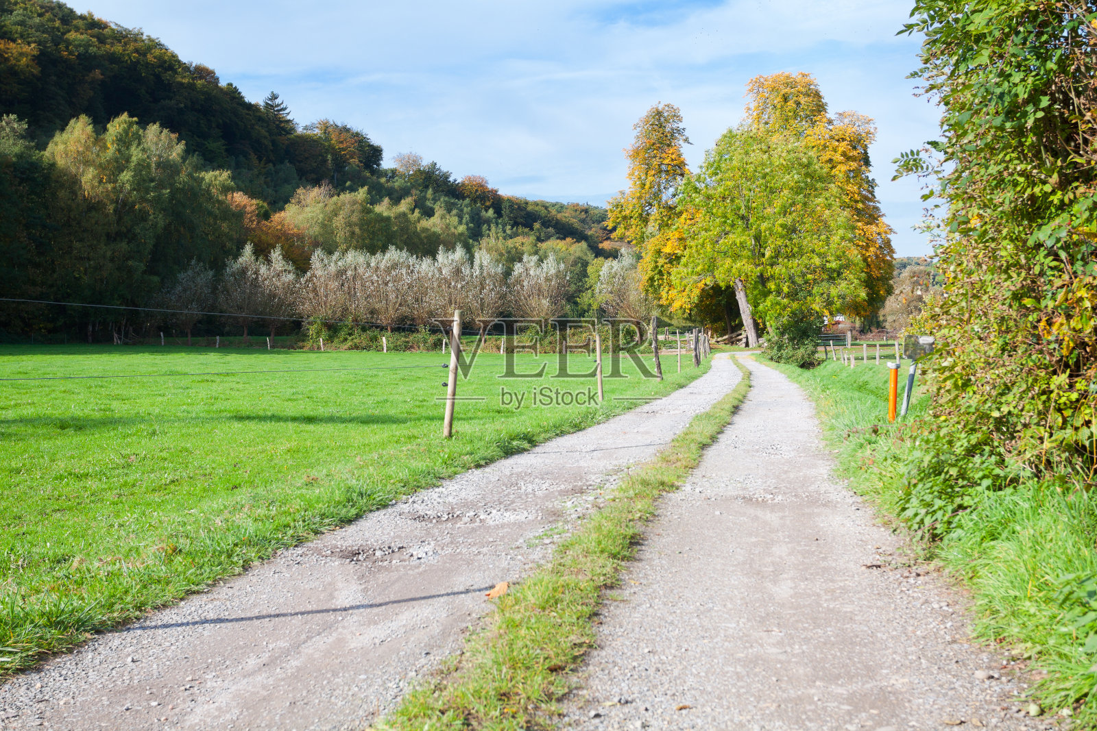 鲁尔山谷靠近林地的草地之间的道路照片摄影图片