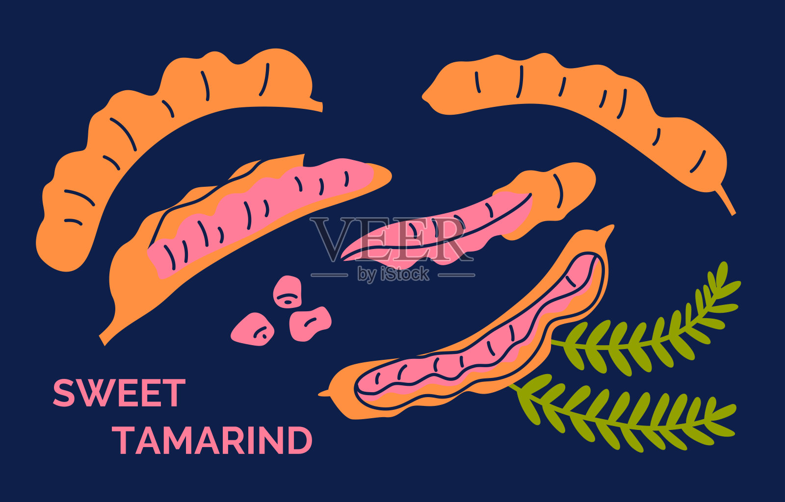 甜蜜的罗望子集。异国情调的水果图标。矢量插图，收集迟钝的水果在一个黑暗的背景插画图片素材