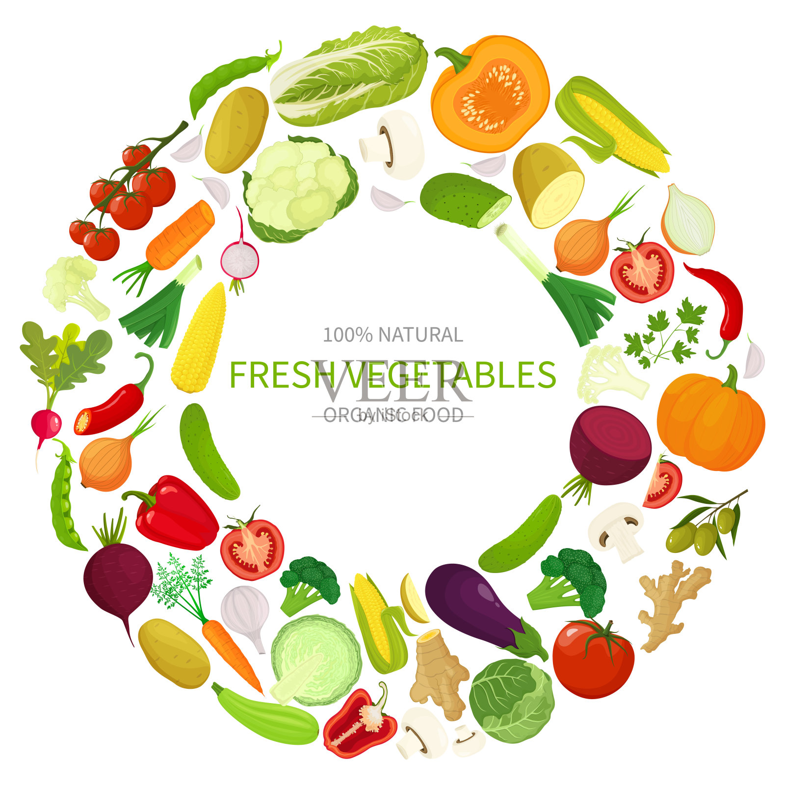新鲜蔬菜。不同的新鲜蔬菜的圆形框架，矢量插图在平面风格。插画图片素材