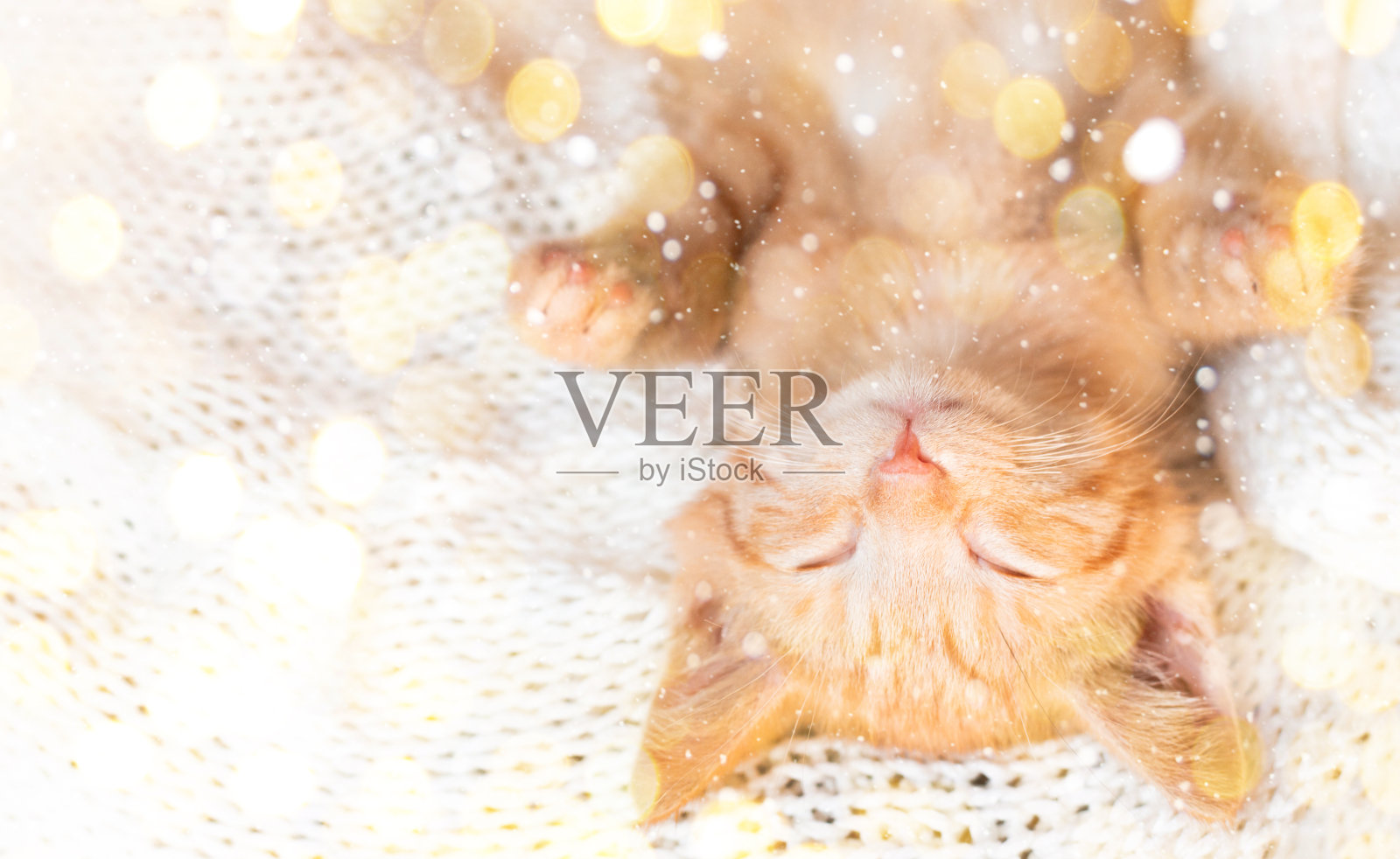 可爱的小红猫睡在编织的白色毯子上。横幅照片摄影图片