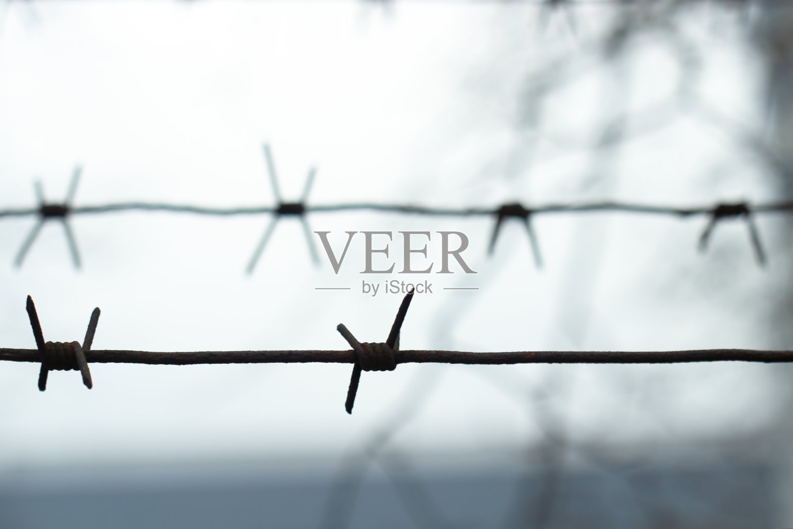 铁丝网是由水平的线拉伸的照片摄影图片