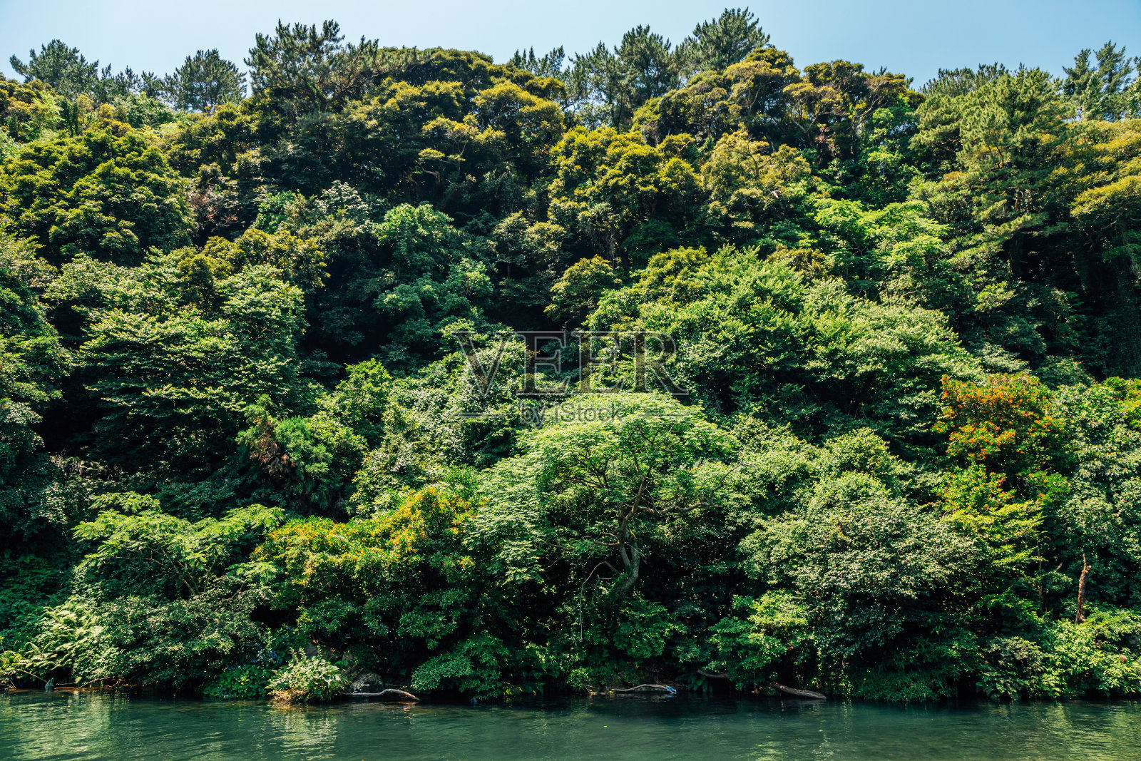 韩国济州岛天池渊瀑布河景照片摄影图片
