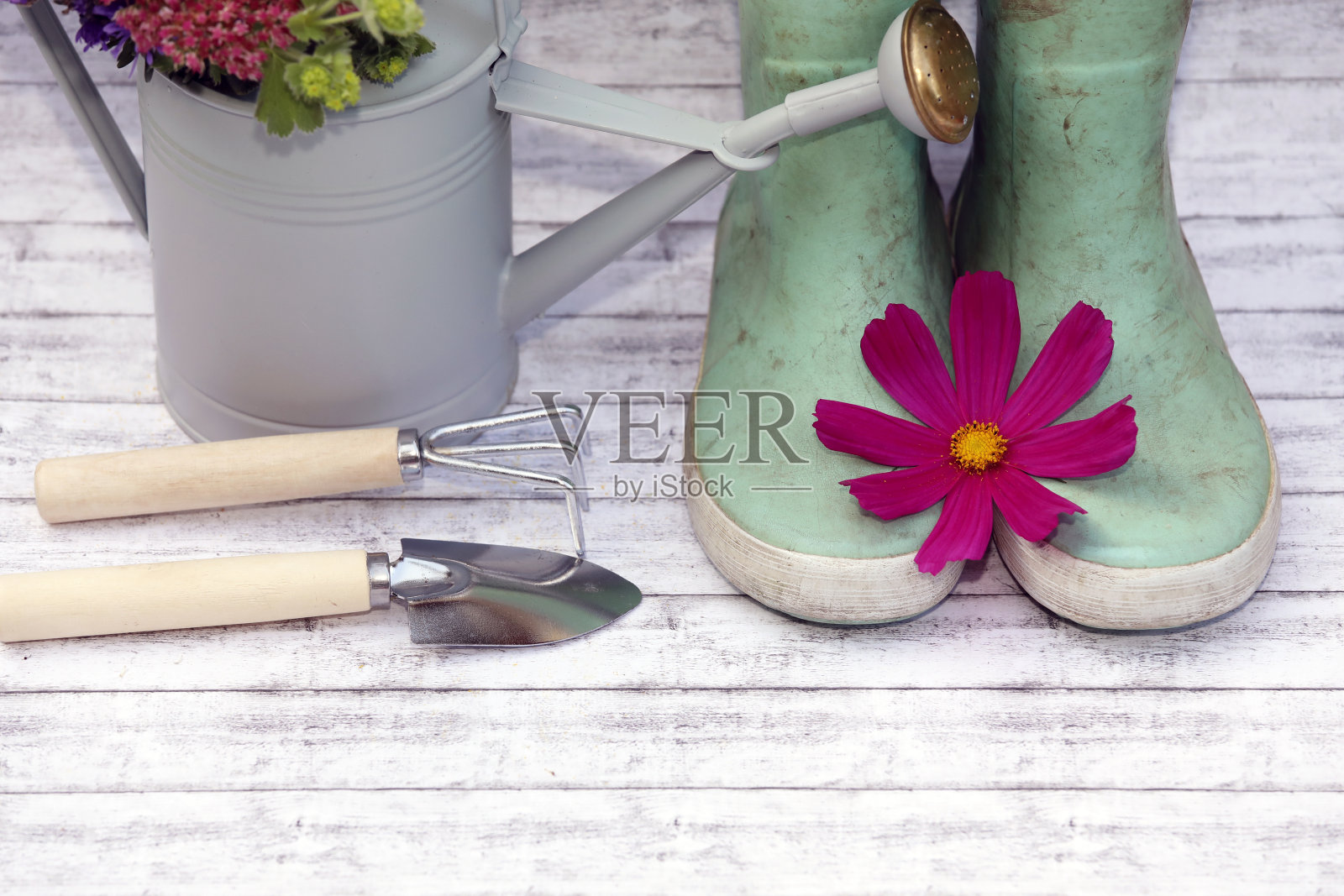 园艺背景，复古风格概念与工具，橡胶靴，喷壶，花和复制空间。照片摄影图片