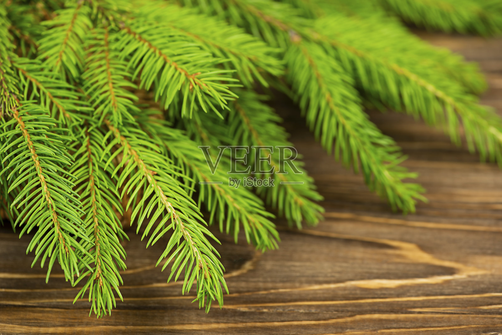 绿色云杉树枝特写在一个棕色的木制背景。照片摄影图片