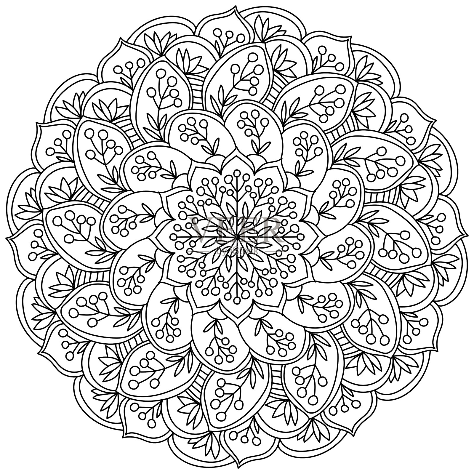 轮廓曼荼罗与束和树枝浆果，着色页的形式与植物图案的圆圈插画图片素材