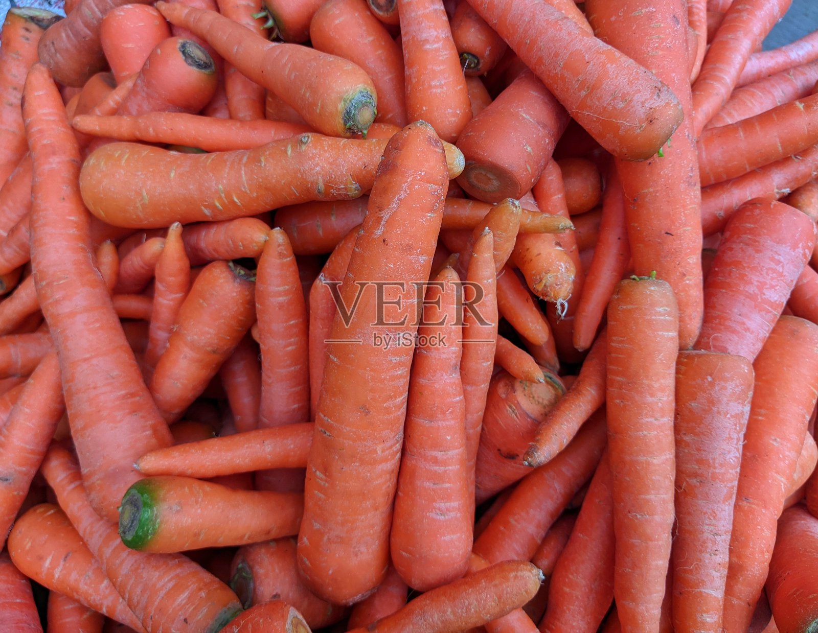 胡萝卜照片摄影图片