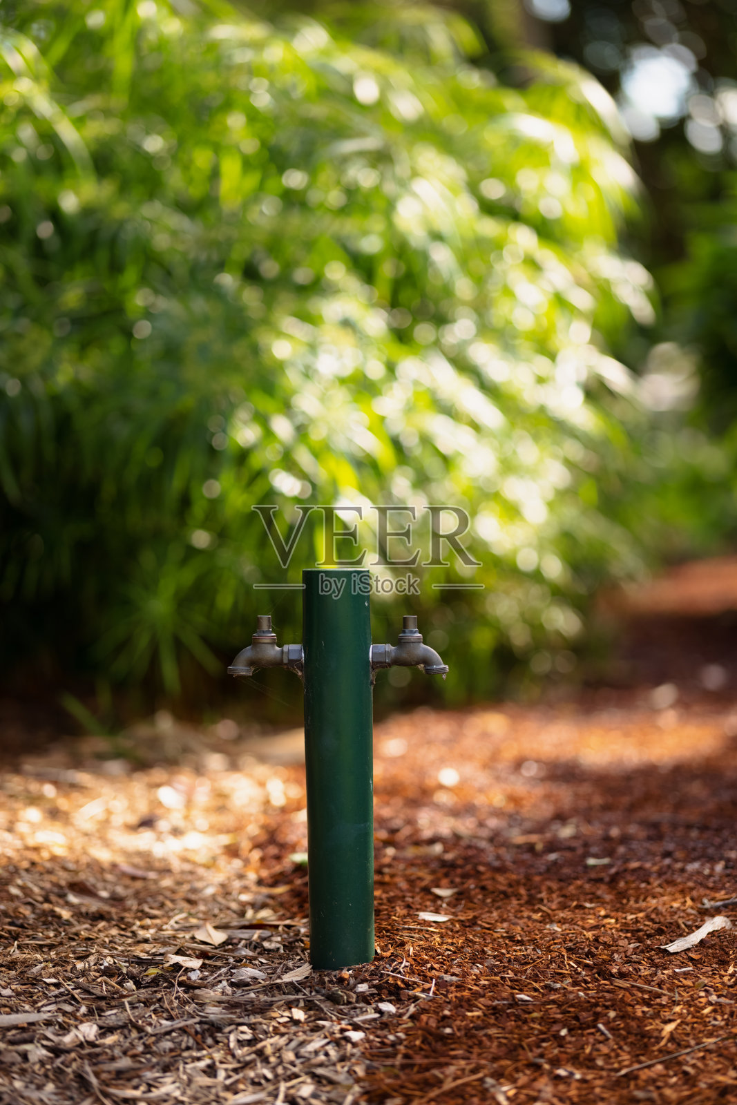 绿色杆子上的一对龙头照片摄影图片
