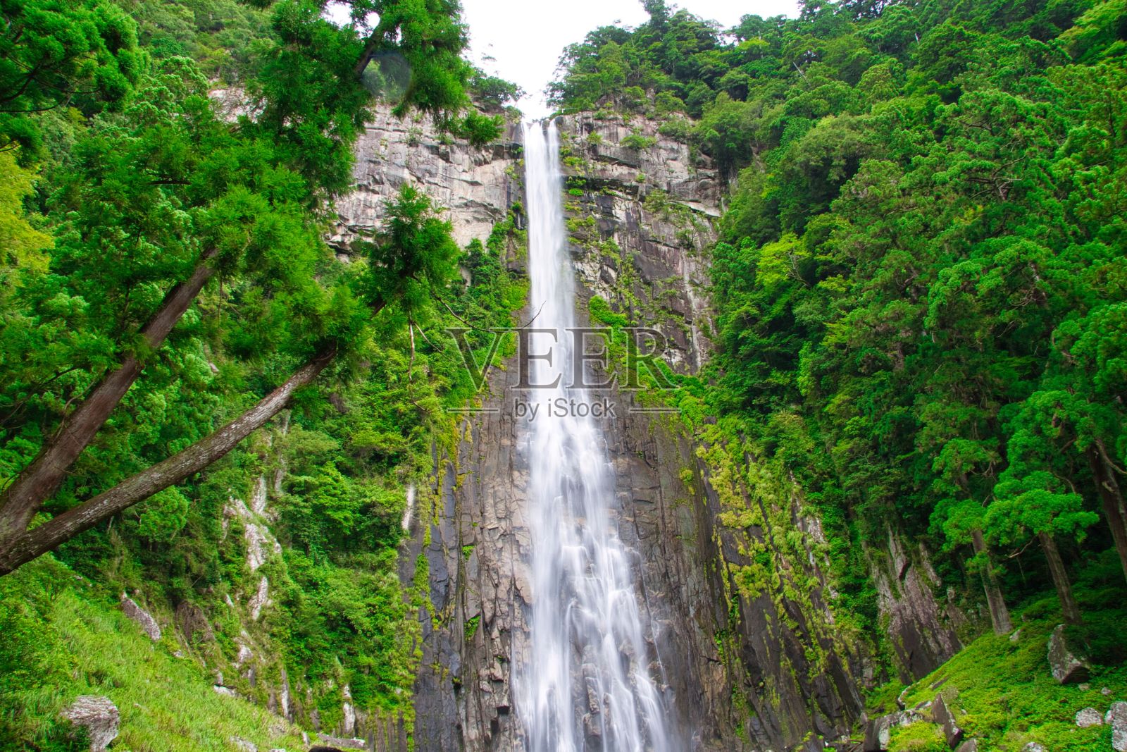 奈知如果照片摄影图片