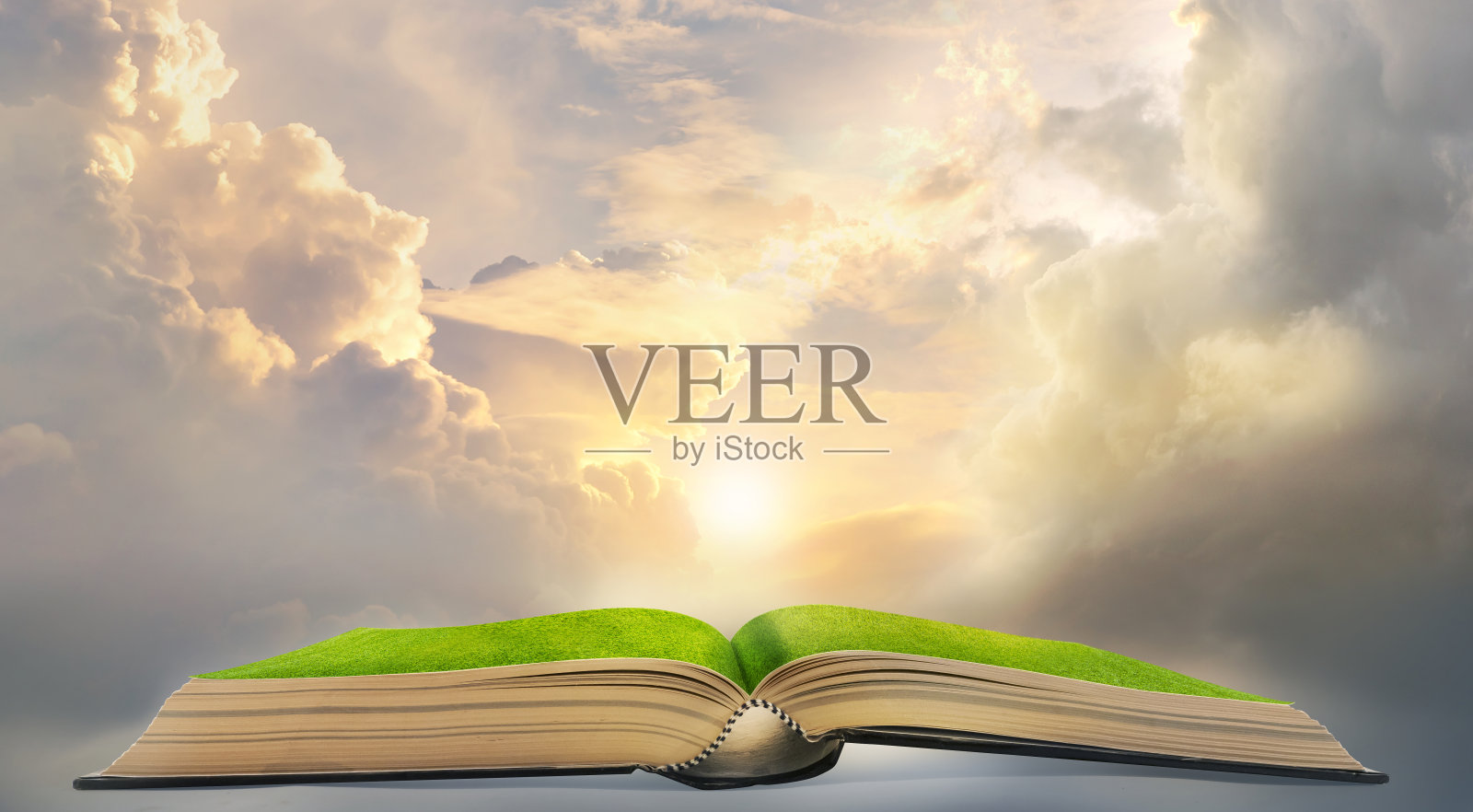 在草地上打开书本，幻想，自然的学习概念，与抄写空间照片摄影图片