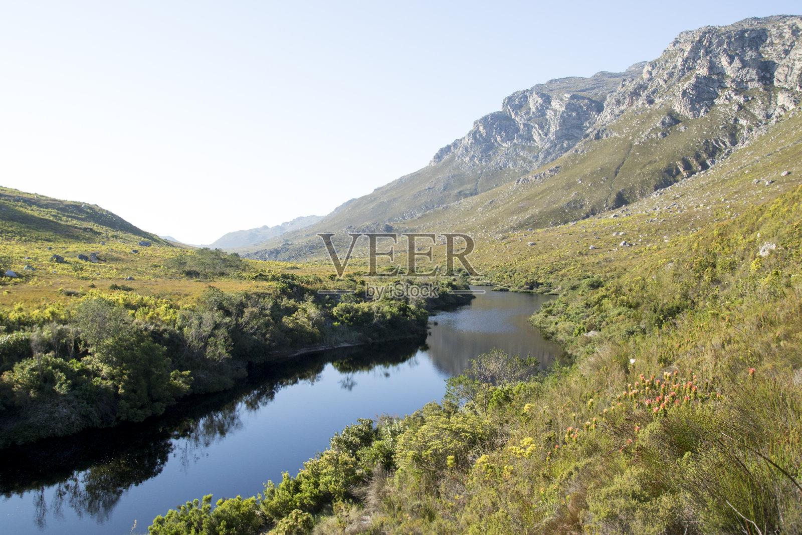 科格堡自然保护区的棕榈河照片摄影图片