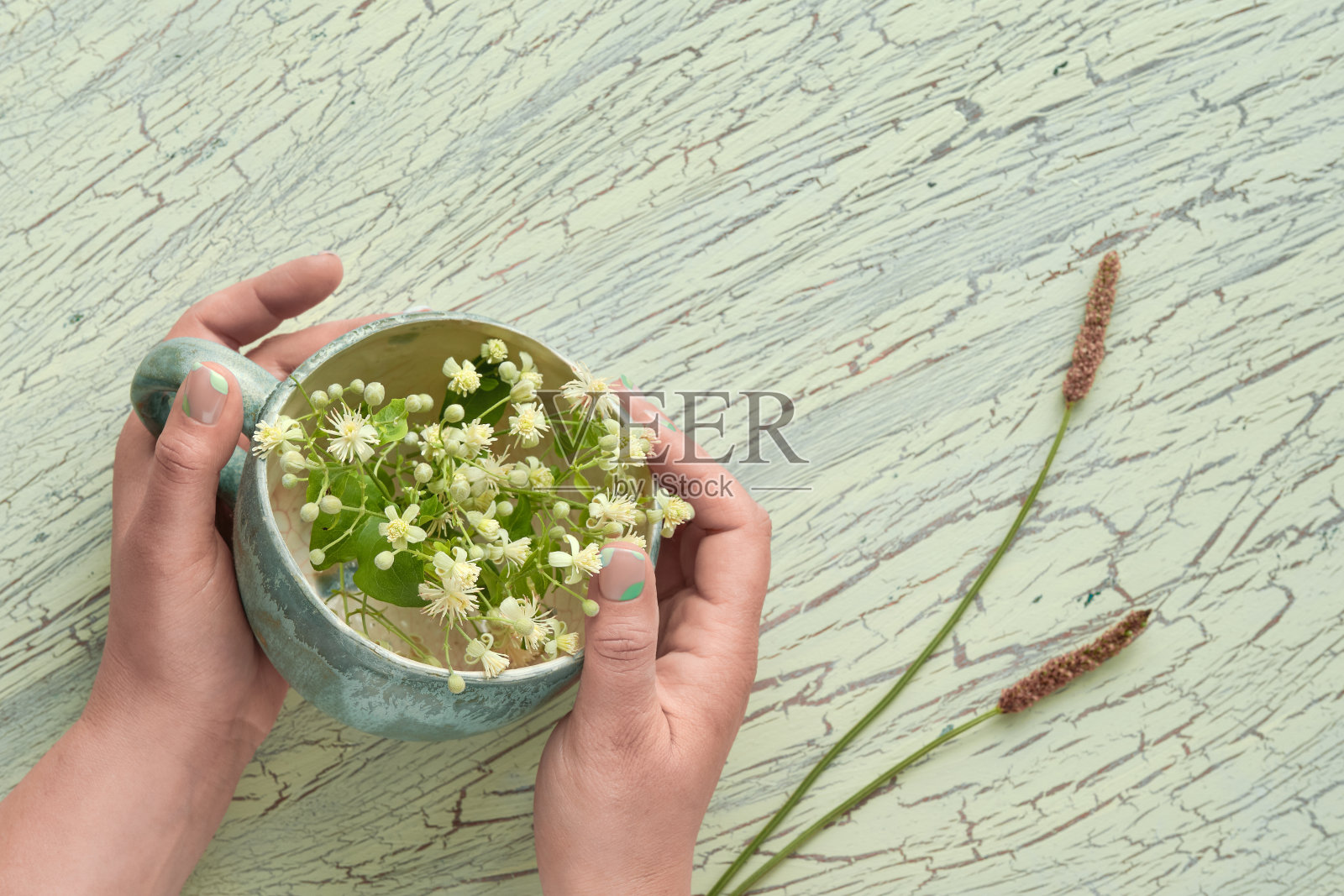 老瓷杯，淡黄色的野花。油漆老化开裂，平铺在有纹理的浅薄荷绿底色上。成熟女性双手捧杯照片摄影图片