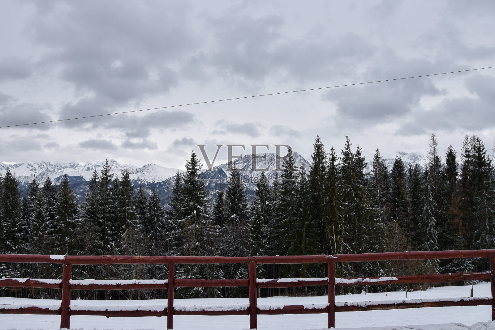 在被雪覆盖的泰特拉山脉，森林在前景照片摄影图片