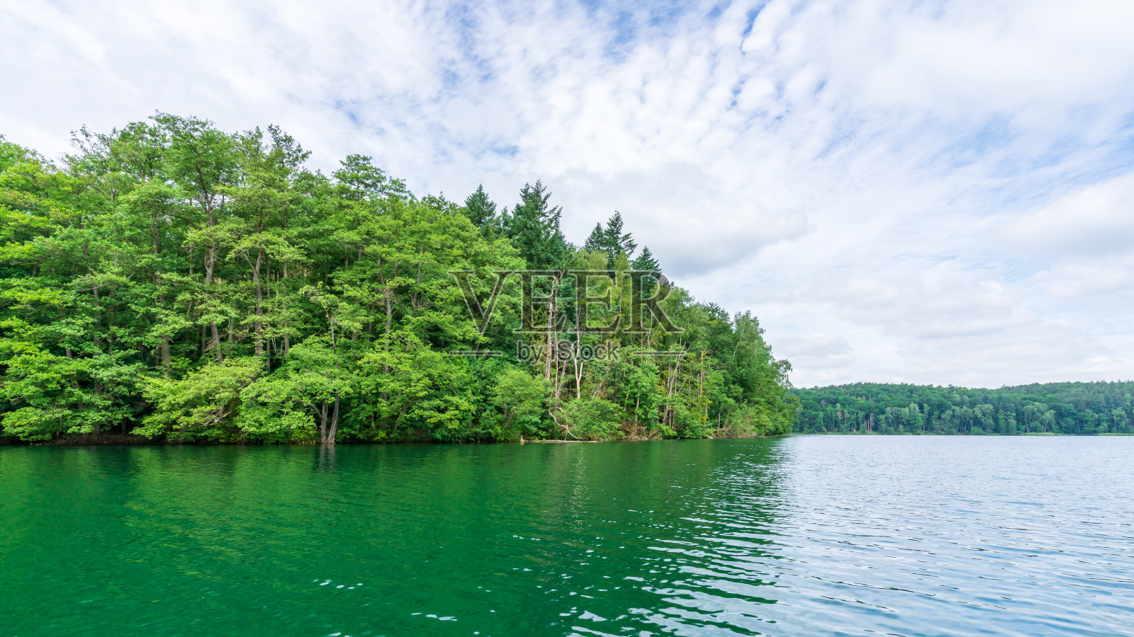 湖边的树照片摄影图片