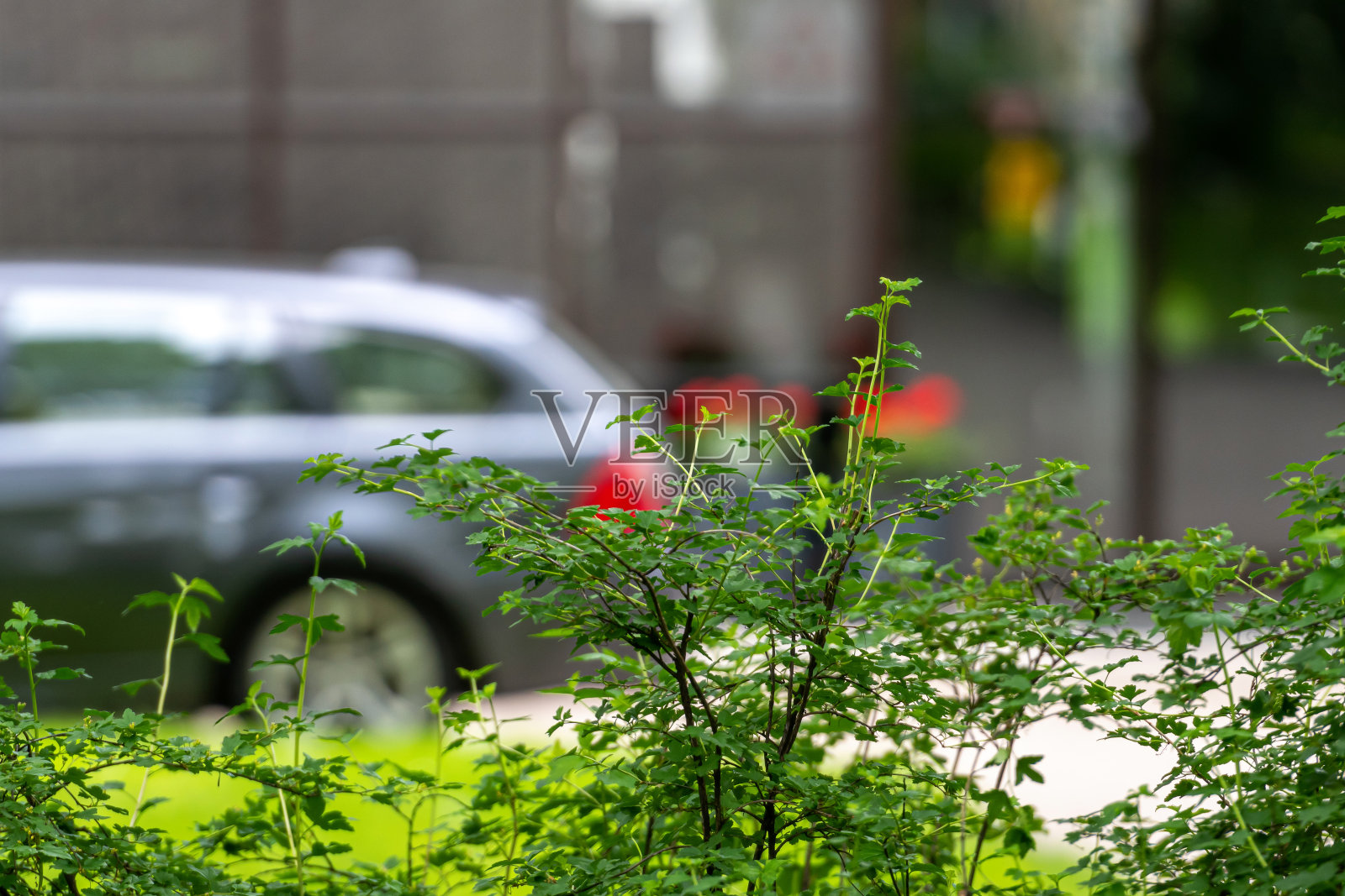 抽象的城市场景以办公楼、汽车和植物为前景，选择性聚焦照片摄影图片
