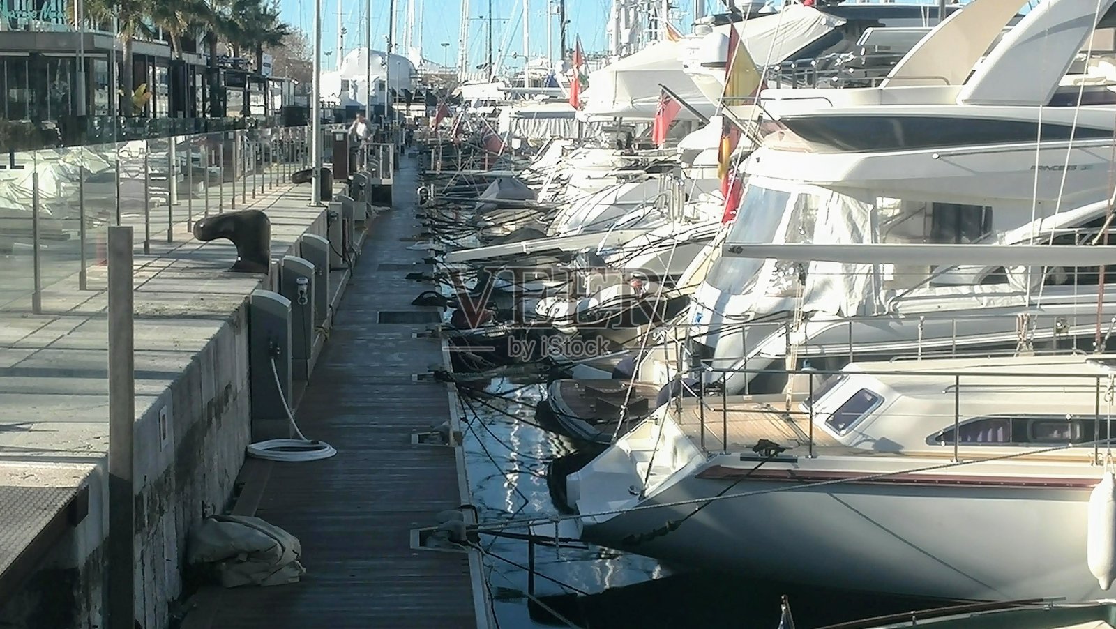 船只停泊在马略卡港照片摄影图片