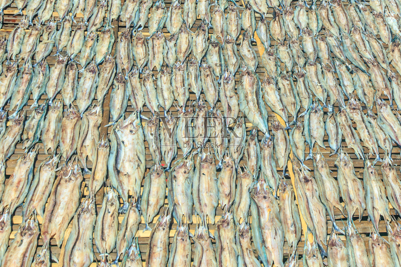 露天腌鱼干照片摄影图片