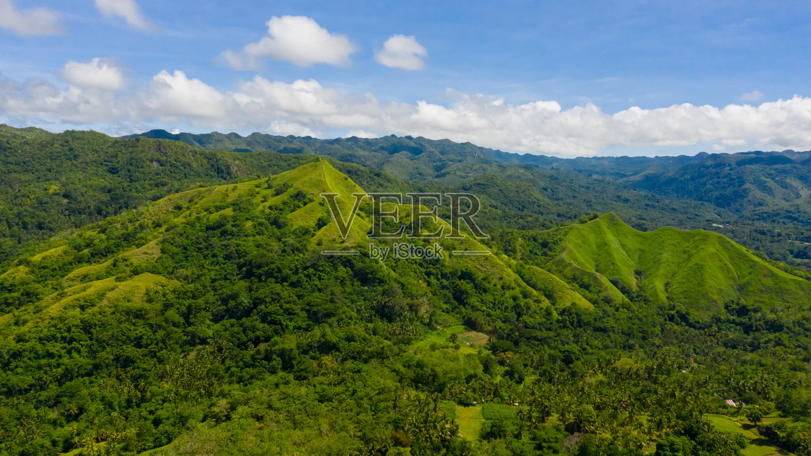 有热带植被的丘陵和山脉。保和、菲律宾照片摄影图片