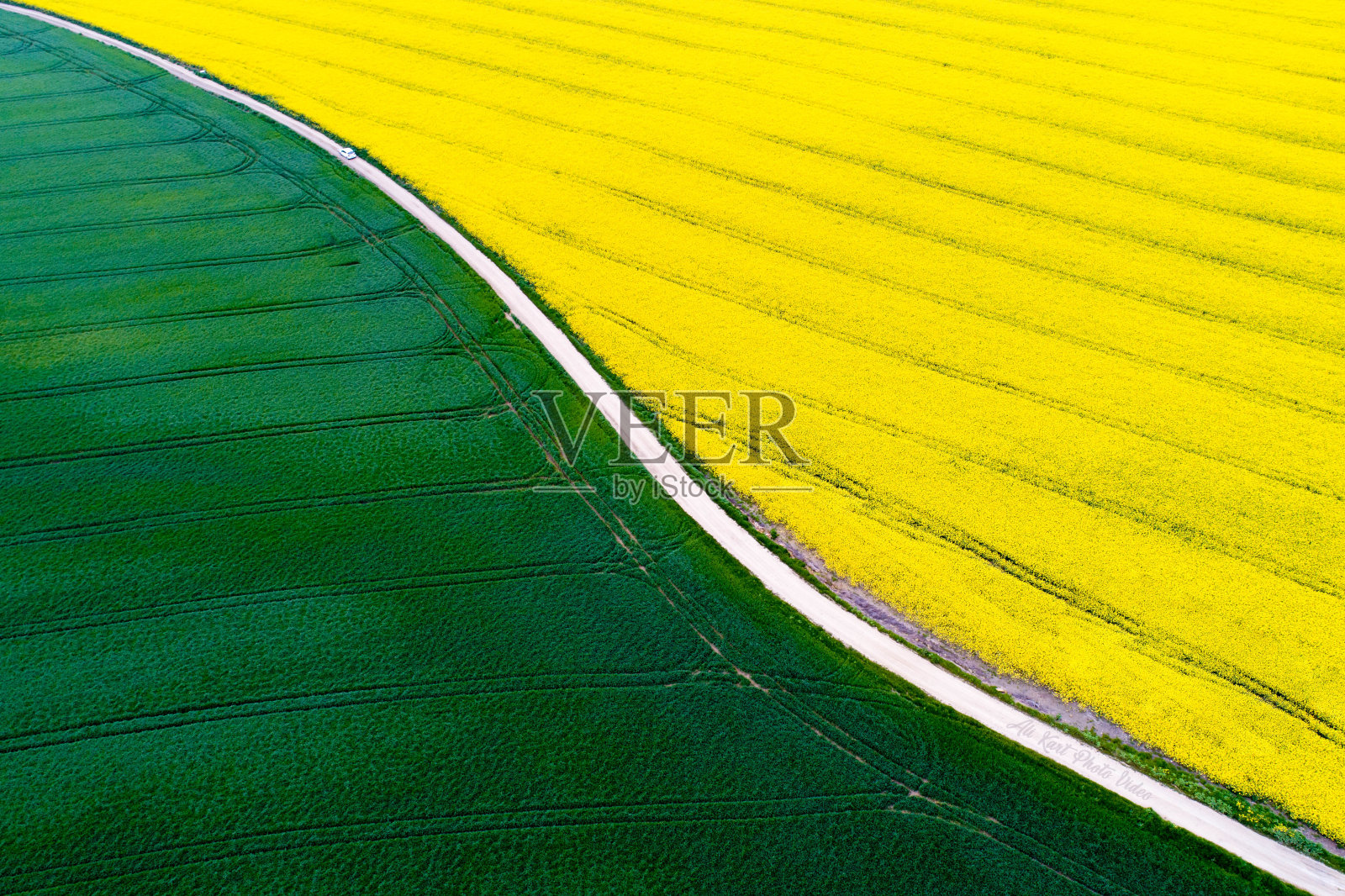 道路穿过油菜籽和小麦田。照片摄影图片