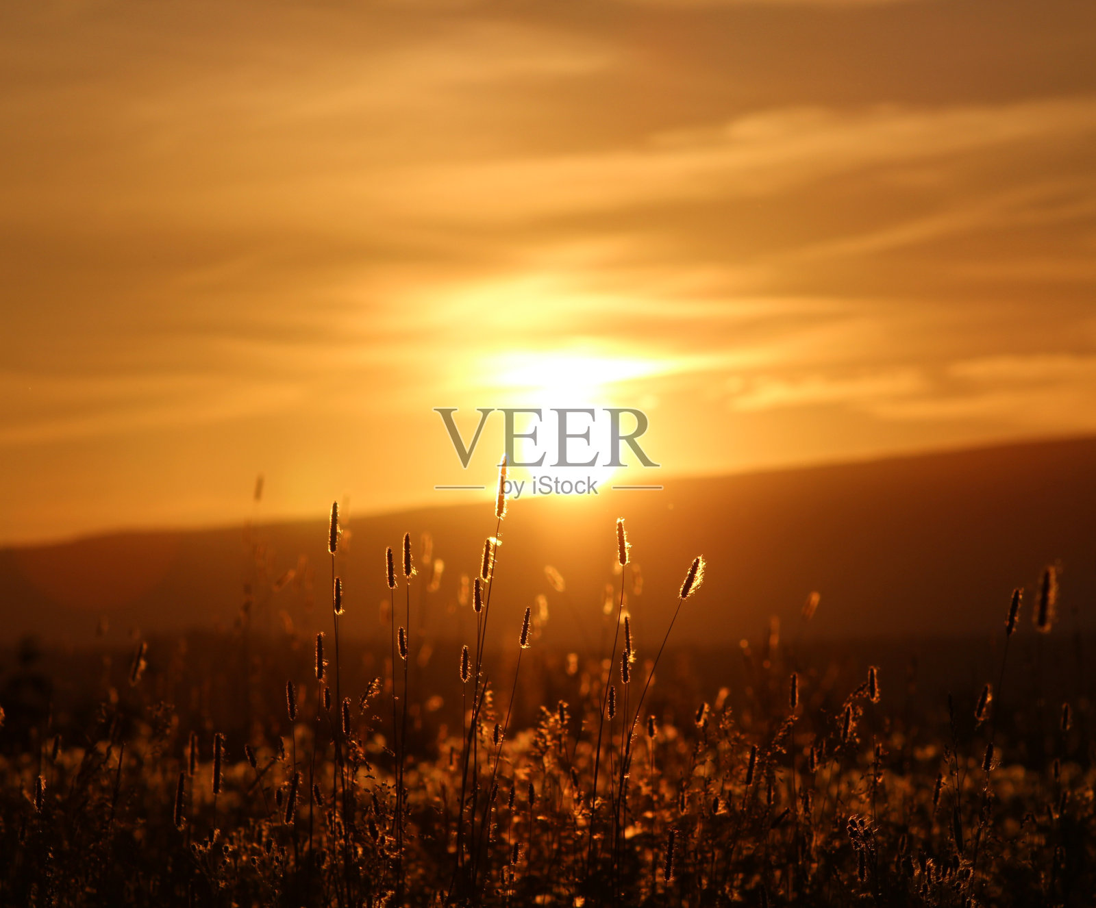 落日领域照片摄影图片