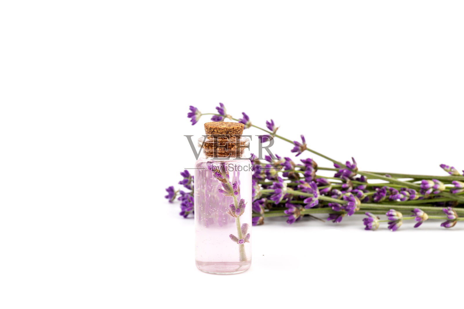 玻璃瓶的薰衣草精油与新鲜的薰衣草花在白色的背景，香薰水疗按摩概念。薰衣草油照片摄影图片