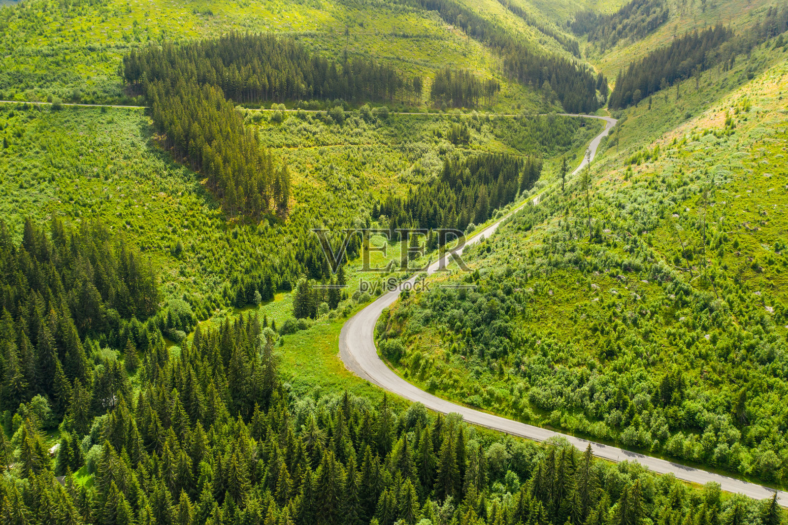 鸟瞰森林中蜿蜒的道路照片摄影图片
