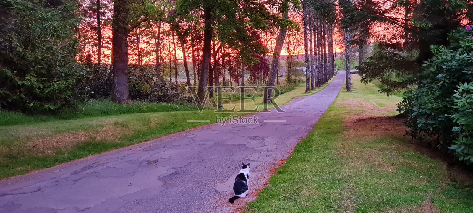 看日出照片摄影图片