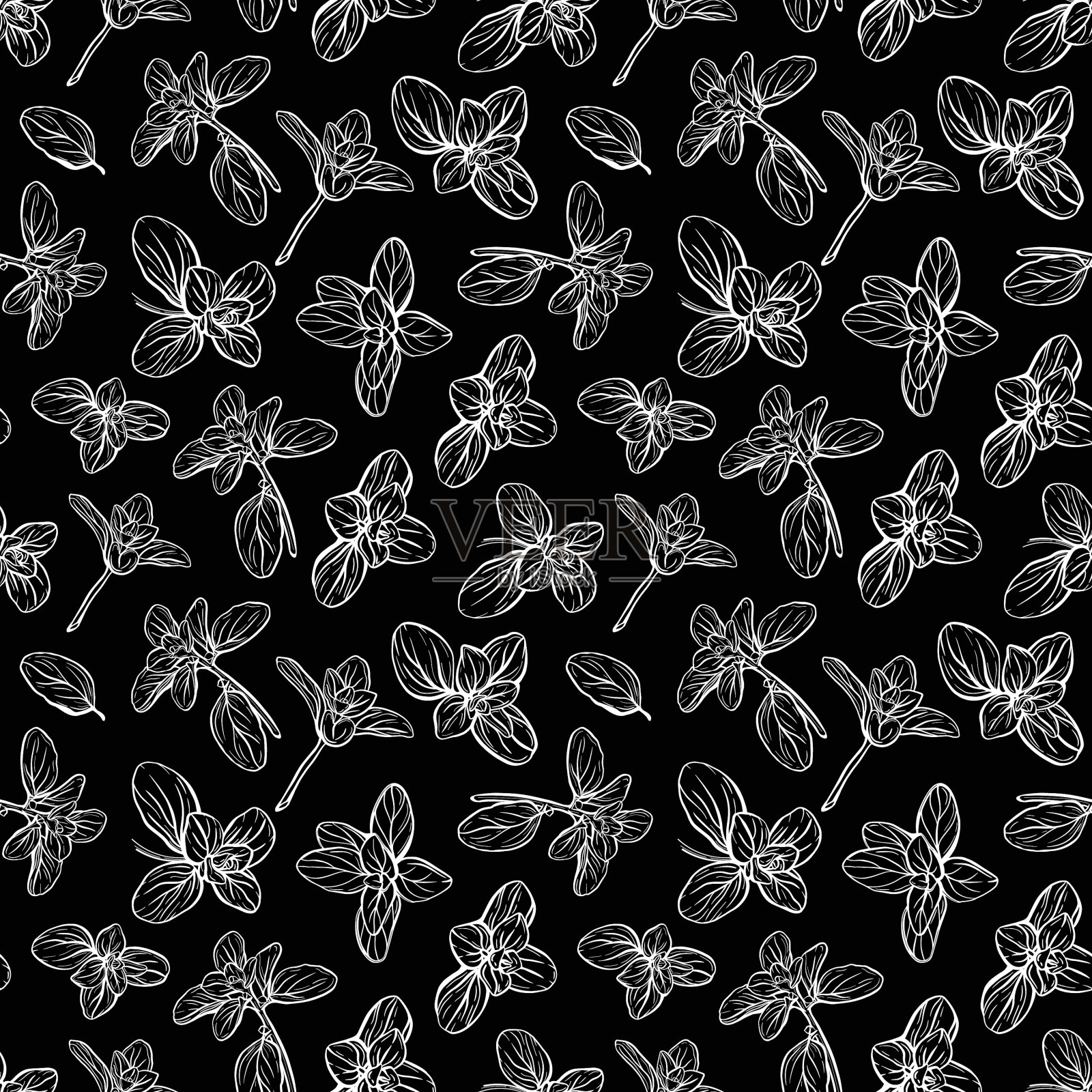 罗勒图案意大利香草小枝墨角兰插画图片素材