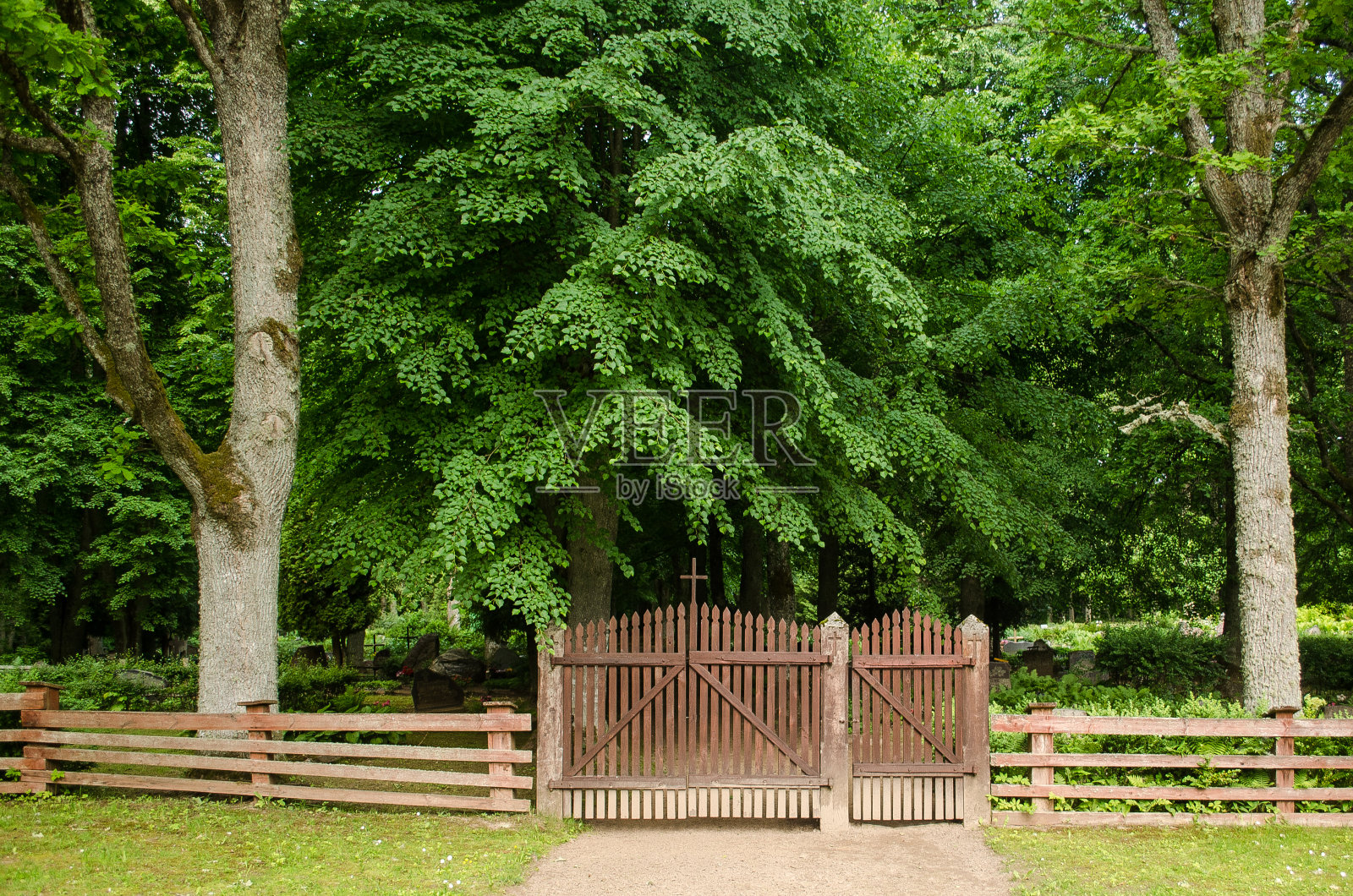 夏日里的旧木门和栅栏照片摄影图片