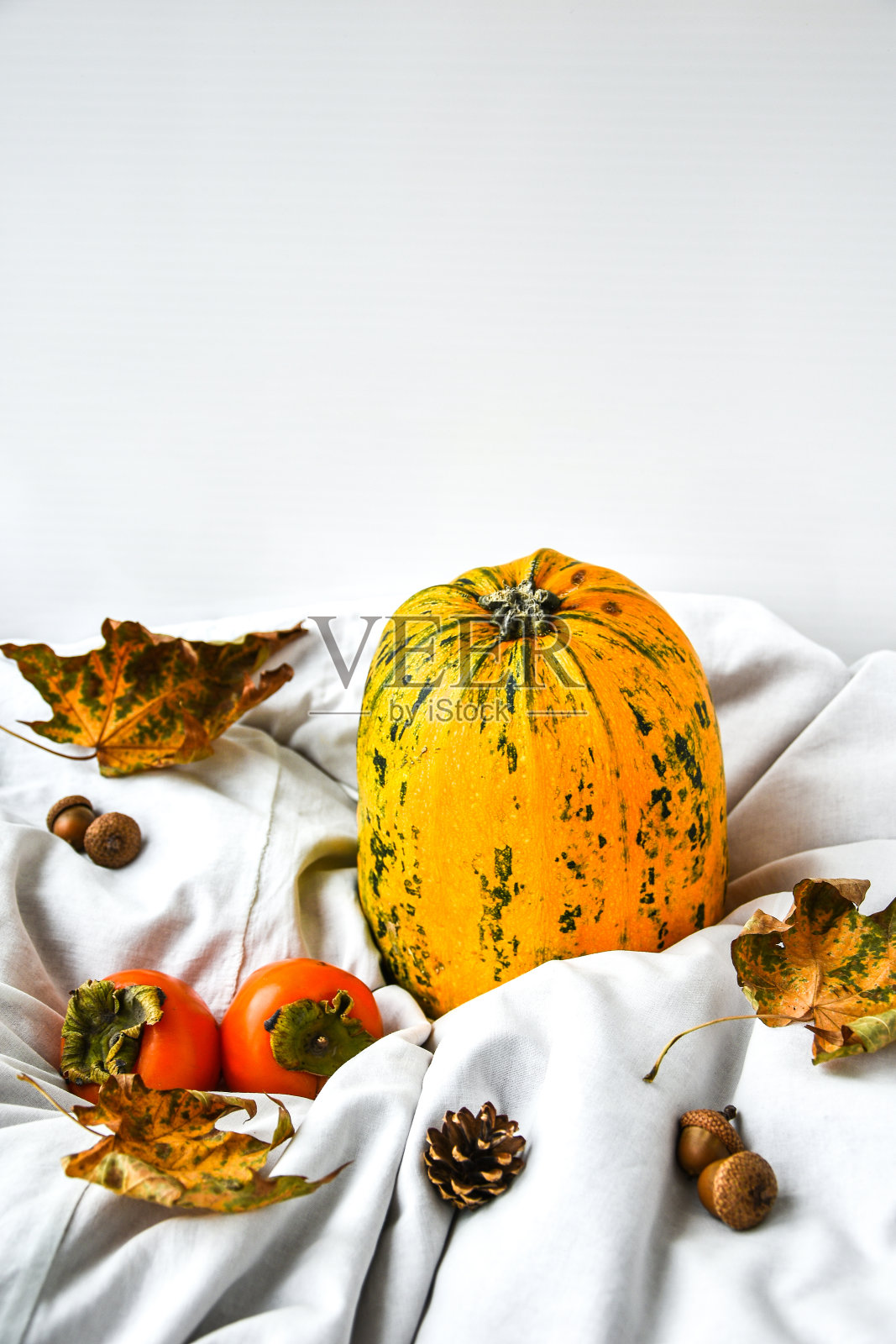 白衣服背景上的南瓜。秋天的收获。副本的空间。柿子和树叶照片摄影图片