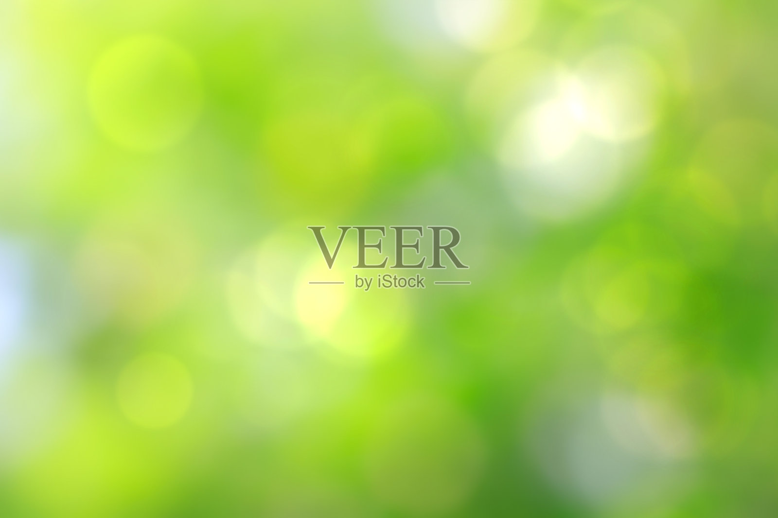 绿色背景模糊，假日壁纸照片摄影图片