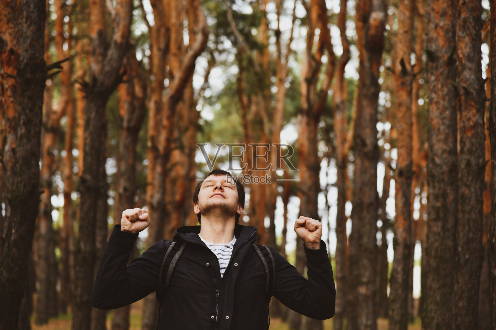 游客穿着夹克衫带着头巾在常青松树林照片摄影图片