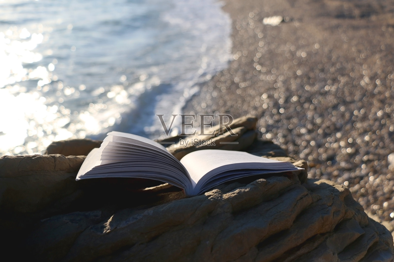 暑期阅读照片摄影图片