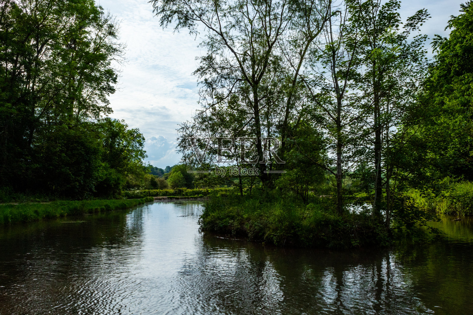 英格兰的国家森林照片摄影图片