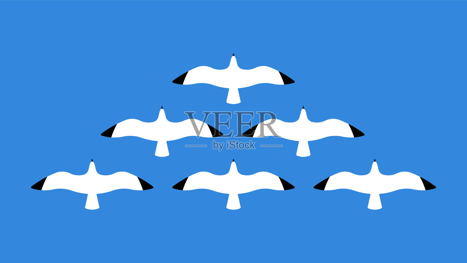 海鸥剪影。海鸟的抽象组成。近距离观察天空中的鸟。矢量现代插图在极简主义风格。插画图片素材