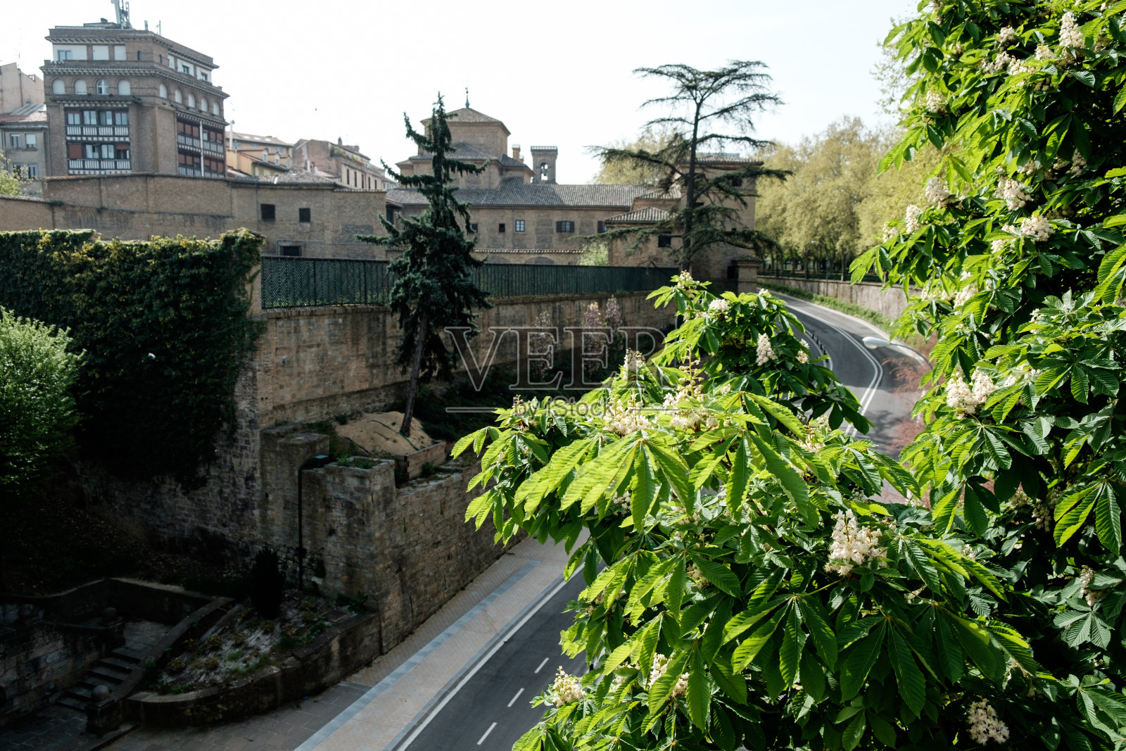 潘普洛纳历史中心，阿古斯蒂纳教堂前景有棵树。照片摄影图片