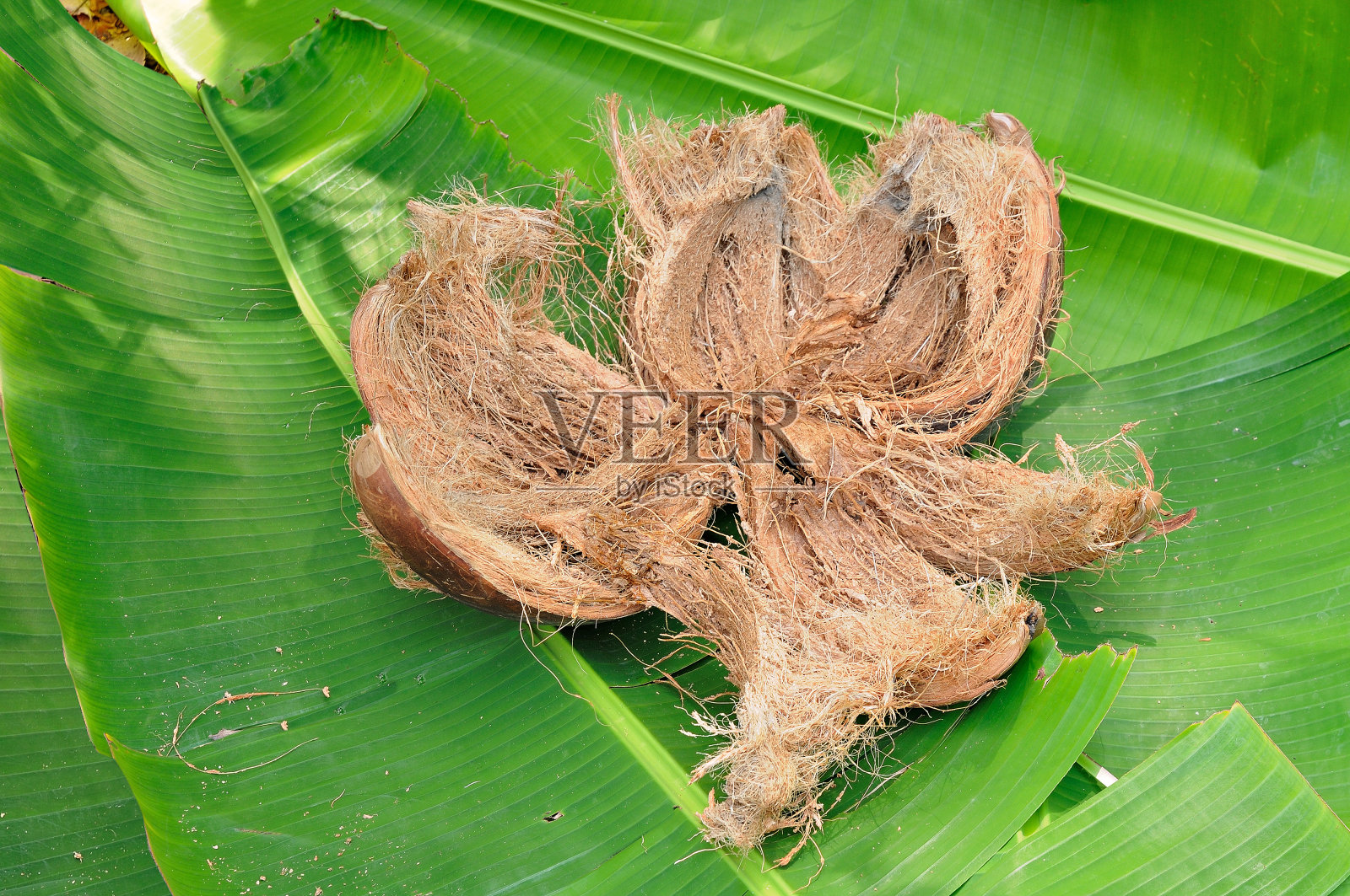 椰子纤维天然材料照片摄影图片