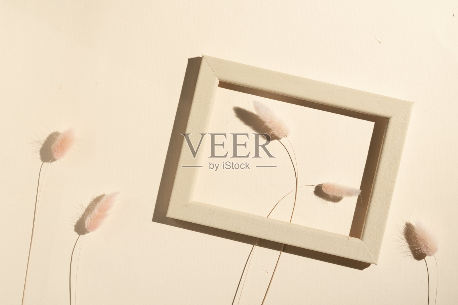在米色背景上的框架内的小穗。艺术装饰简约静物，沙色照片摄影图片