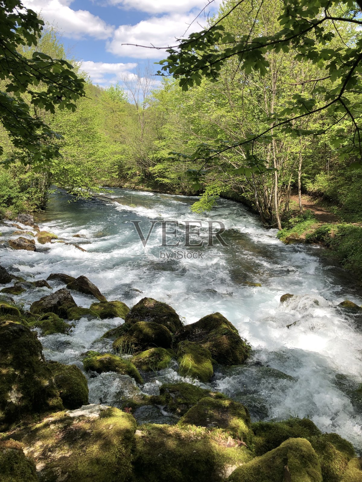 普利瓦河照片摄影图片