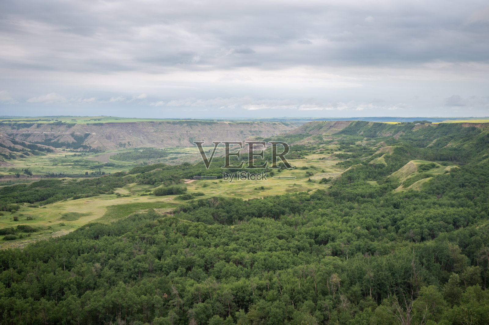 在干岛水牛跳，照片摄影图片