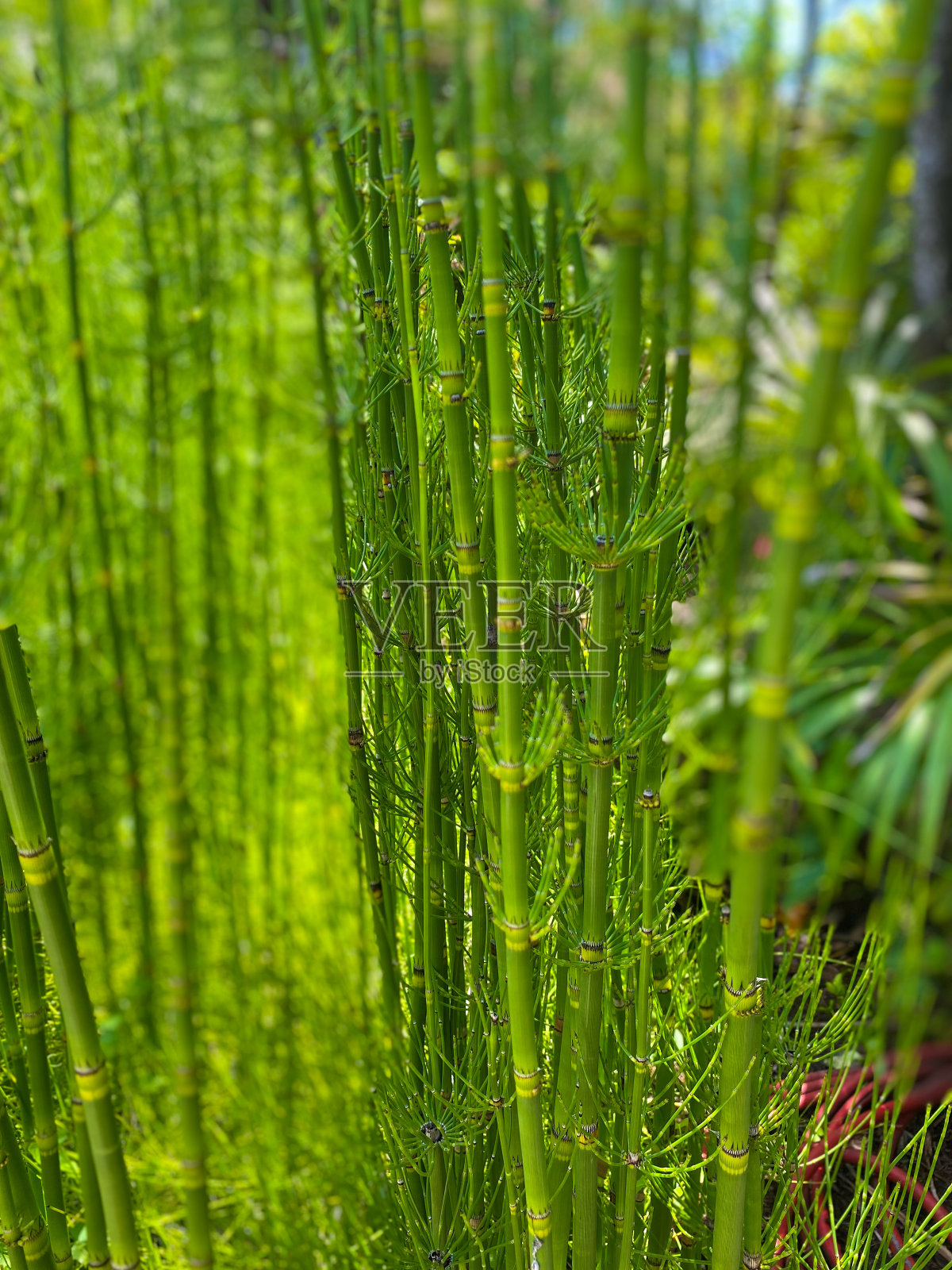 竹结构、背景照片摄影图片