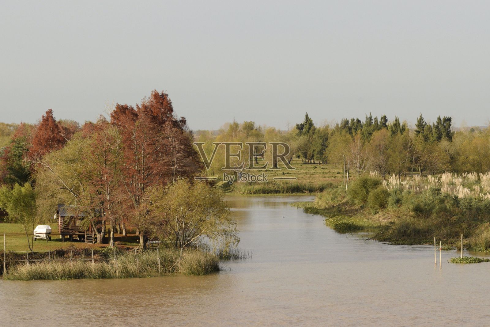 巴拉那河三角洲入海口照片摄影图片